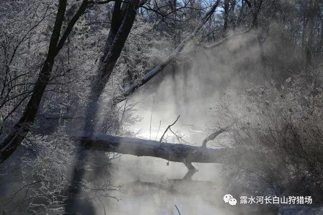 分手了还可以加回前任吗?-机智问答网页